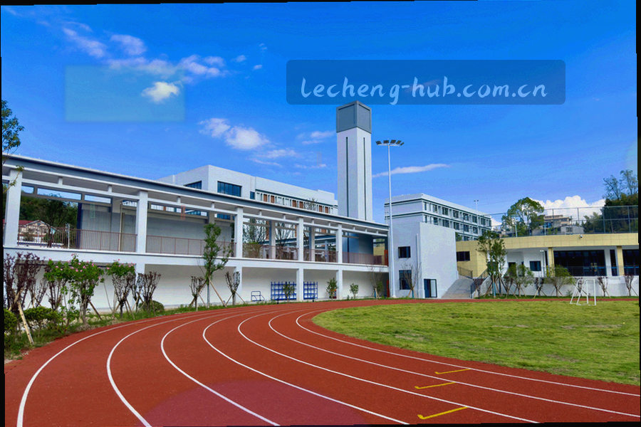 细线折线与等宽数字构成的周期权益对照示意图，四条线分别代表月度、季度、年度与长期